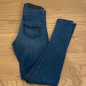 Triarchy Dark Wash Skinny Jean, Size 26